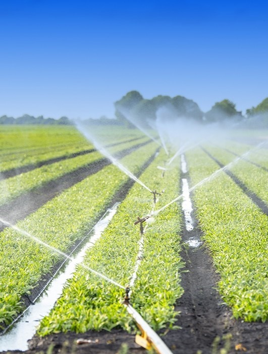 AgriNexus Smart Agriculture System